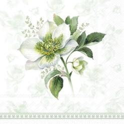Servetti 'Classic Christmas Rose' Cocktail