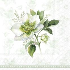 Servetti 'Classic Christmas Rose' Lunch